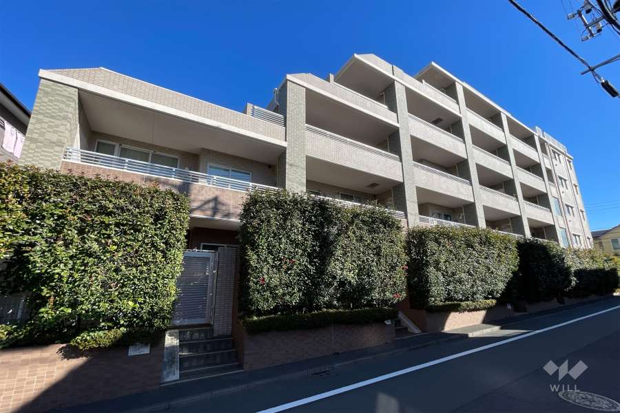 エクセレント光が丘の外観（北西側から）