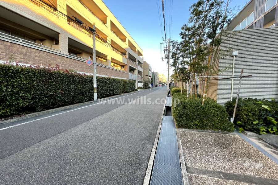 敷地北側の前面道路（西側から）