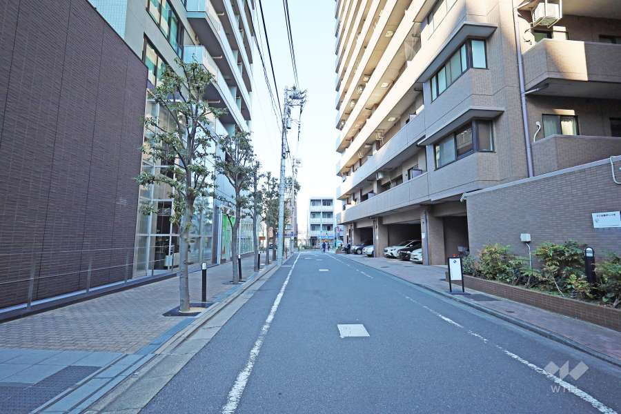 敷地東側の前面道路（南側から）