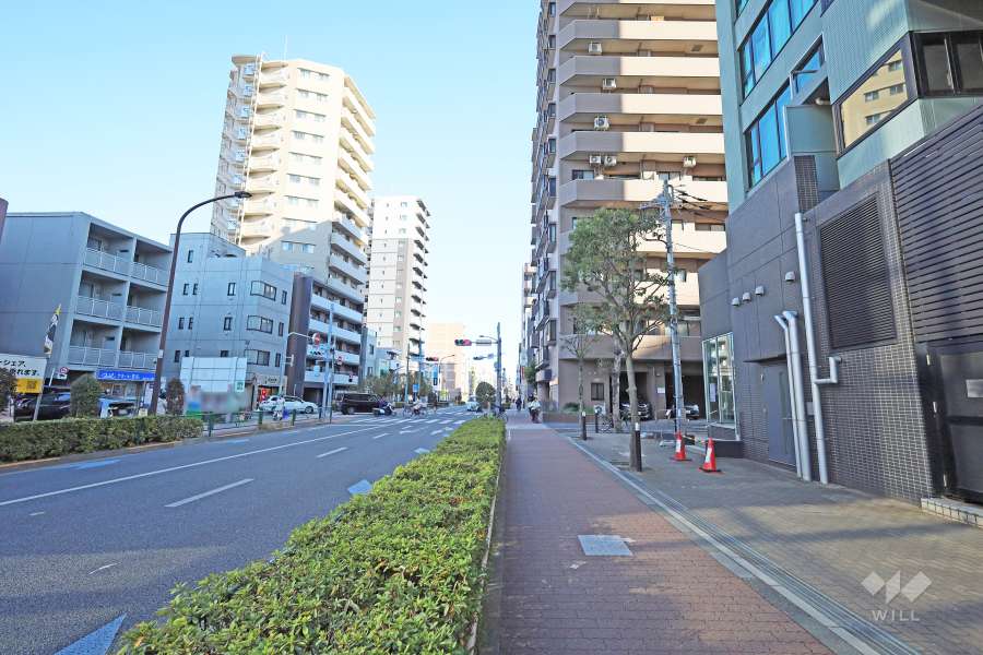 敷地北側の前面道路（西側から）