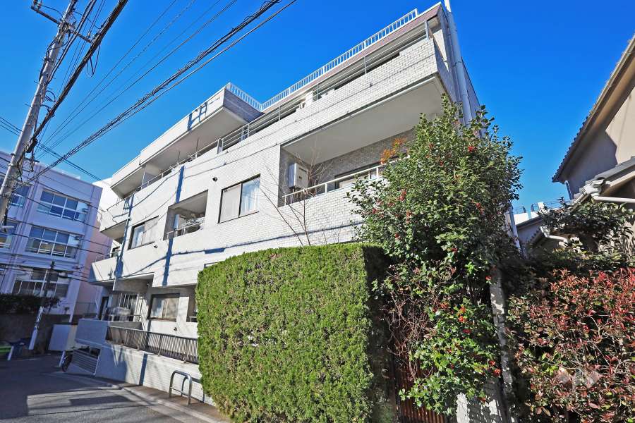 コスモ大泉学園の外観（南東側から）