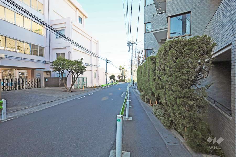敷地西側の前面道路（南側から）
