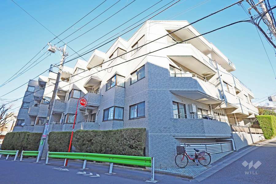 コスモ大泉学園の外観（南西側から）
