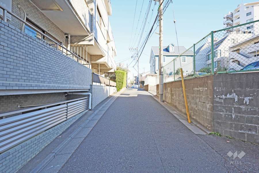 敷地南側の前面道路（西側から）