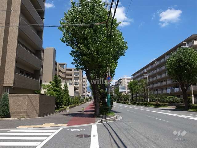 敷地北側の4車線のバス通り。街路樹がきれいで、歩道も広く取られています。