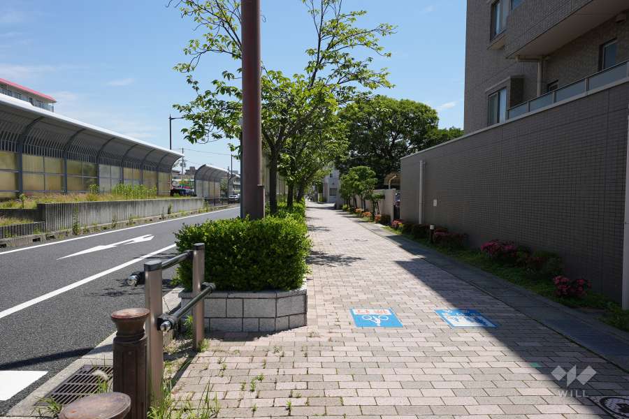敷地北側の前面道路（西側から）