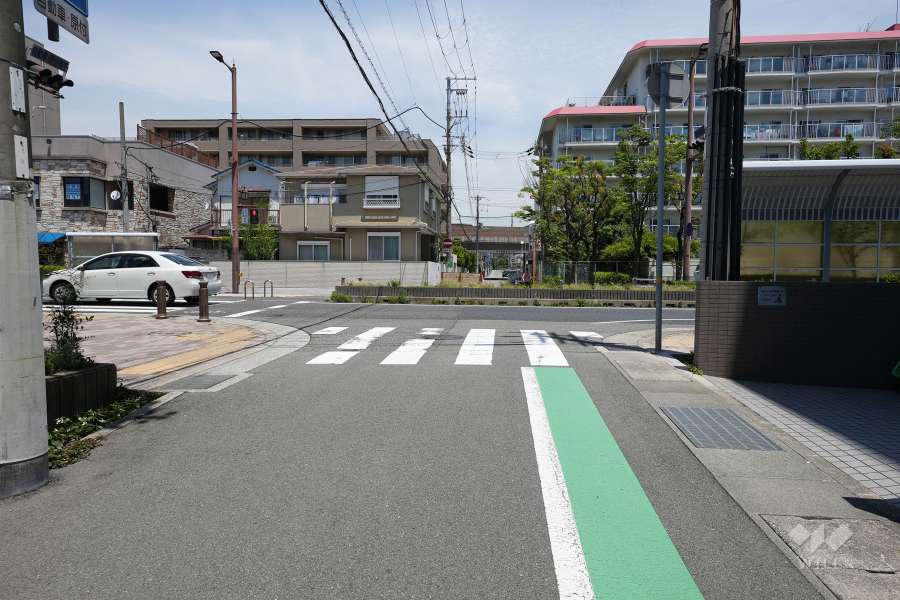 敷地西側の前面道路（南側から）