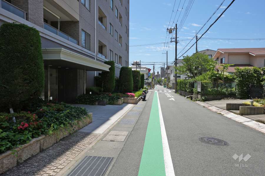敷地西側の前面道路（北側から）