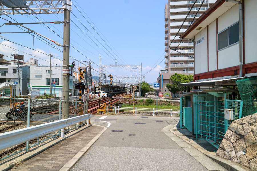敷地北側の前面道路（北側から）