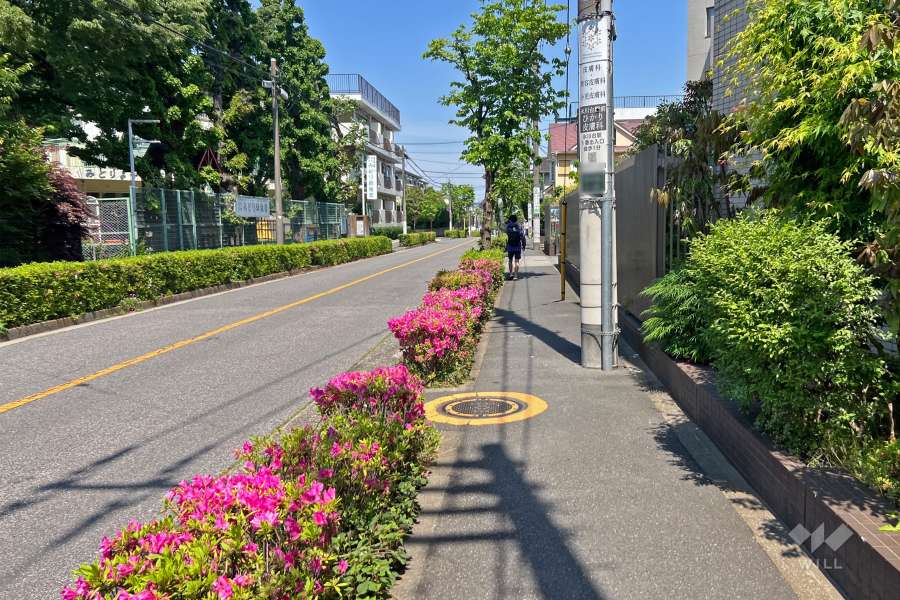 敷地北西側の前面道路（南西側から）