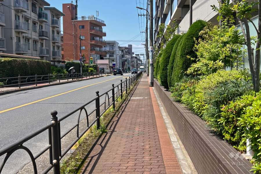 敷地南西側の前面道路（南東側から）