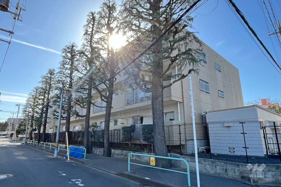コープ野村練馬氷川台の外観（北東側から）