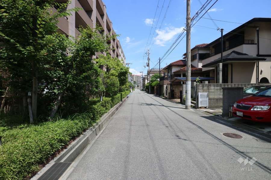 敷地南側の前面道路（西側から）