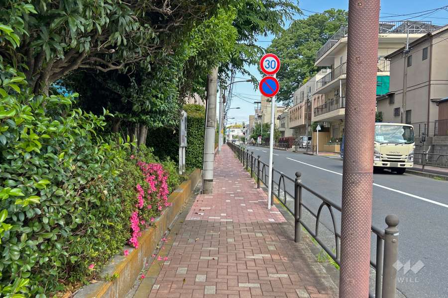 敷地の南側前面道路（西側から）