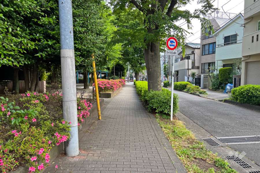 敷地の北西側前面道路（南西側から）