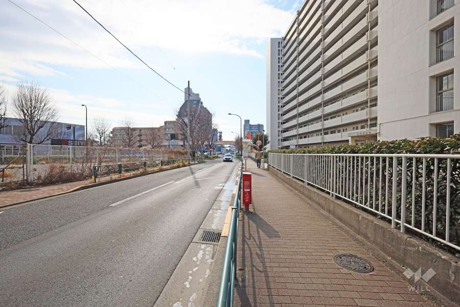 敷地東側の前面道路（北側から）