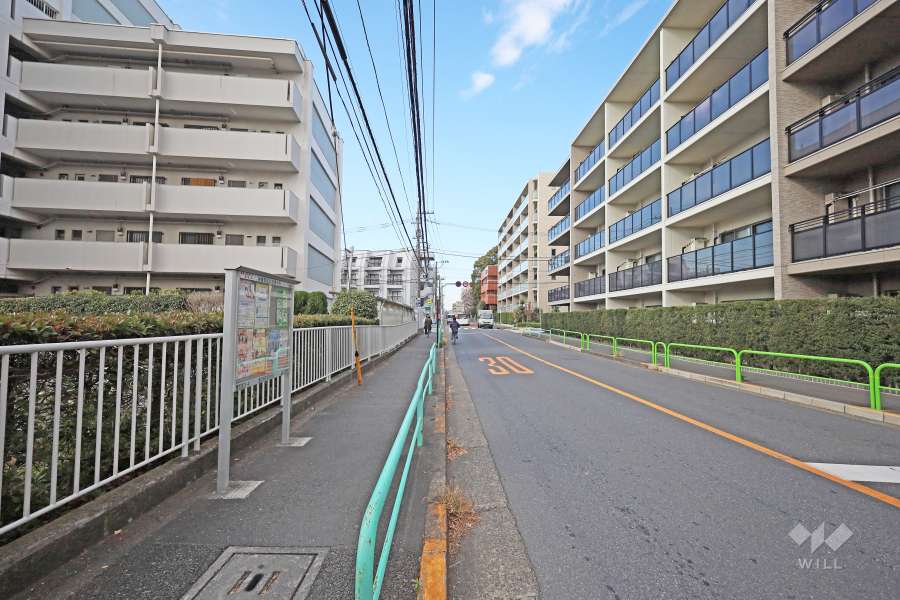 敷地北側の前面道路（東側から）