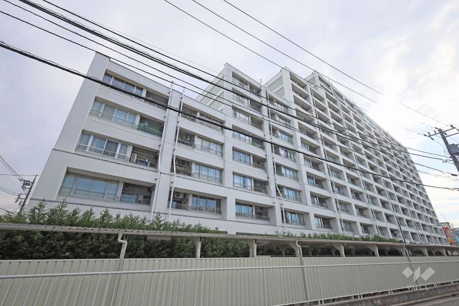 豊玉南住宅の外観（北西側から）