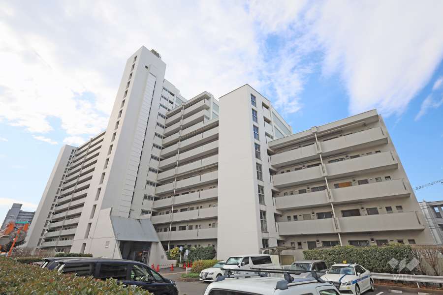 豊玉南住宅の外観（北東側から）