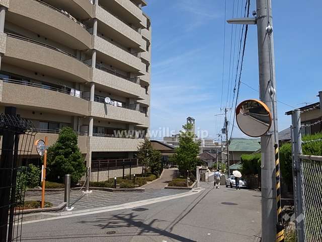 敷地南側の前面道路。やや高台にあります。