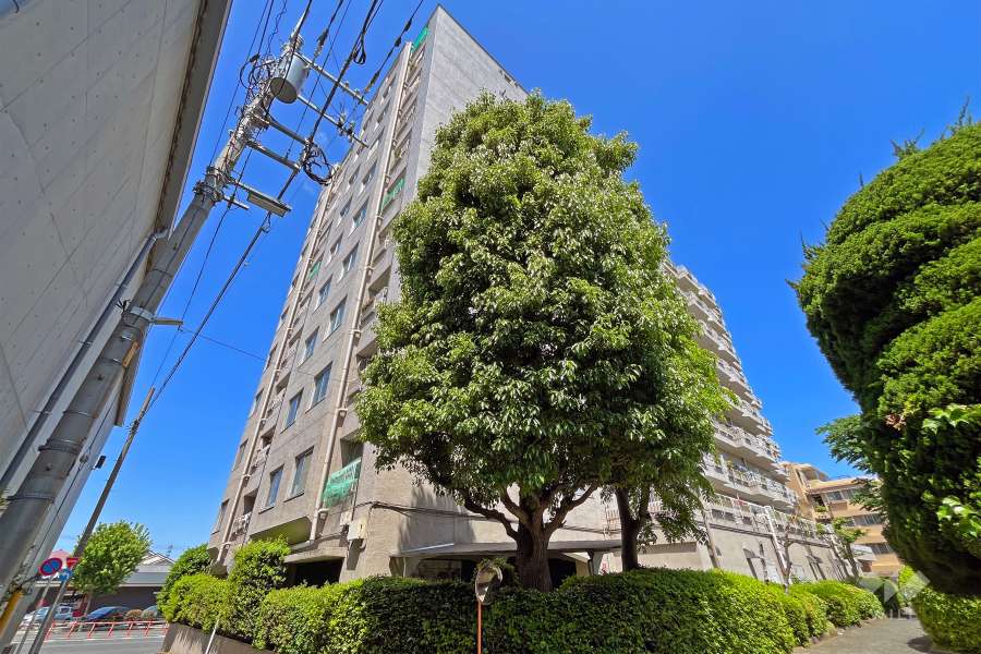 グリーンビレッジ豊玉の外観（南東側から）