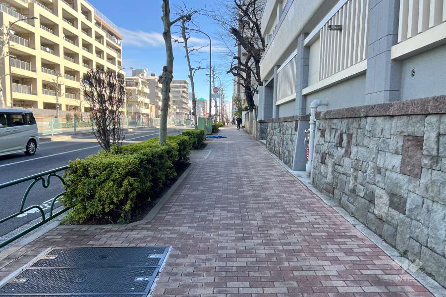 敷地の北東側前面道路（北西側から）