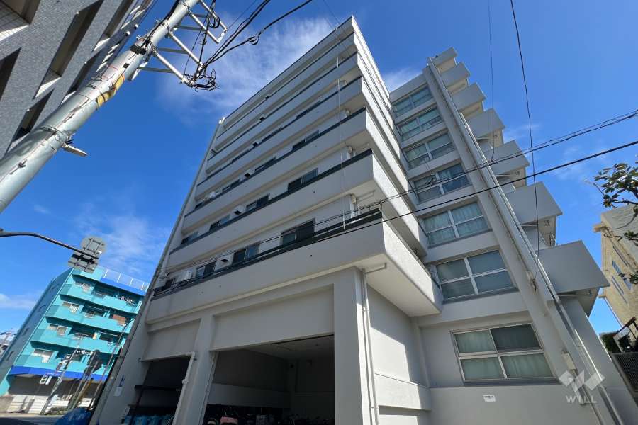 パシフィック豊玉マンションの外観（西側から）
