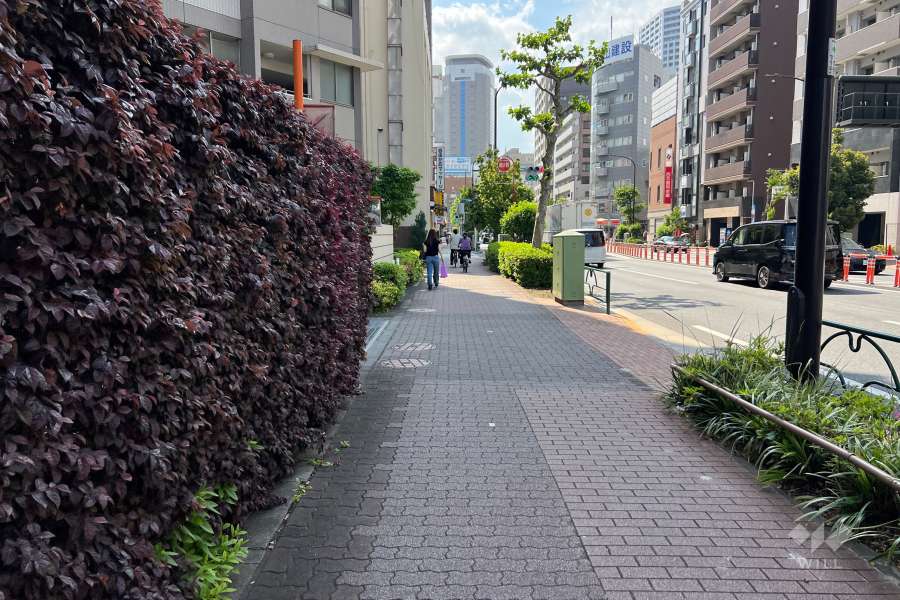 敷地の北東側前面道路（南東側から）