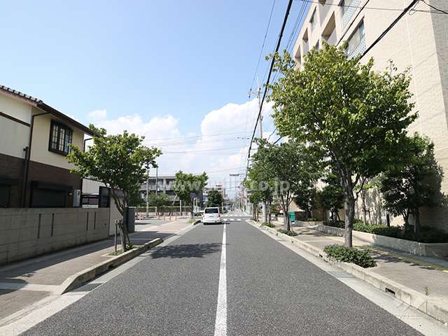 敷地西側の前面道路