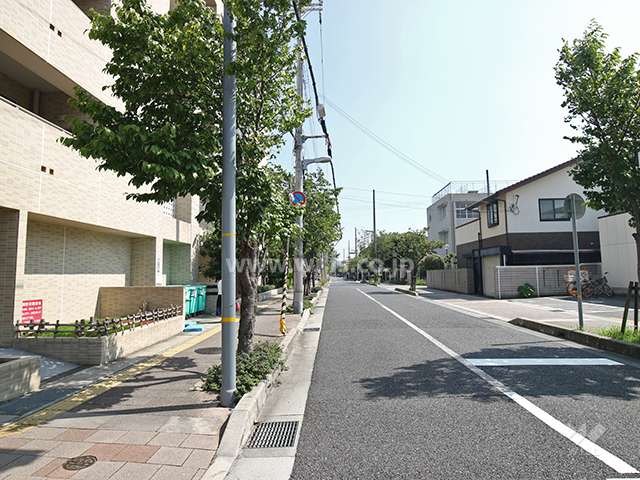 敷地西側の前面道路