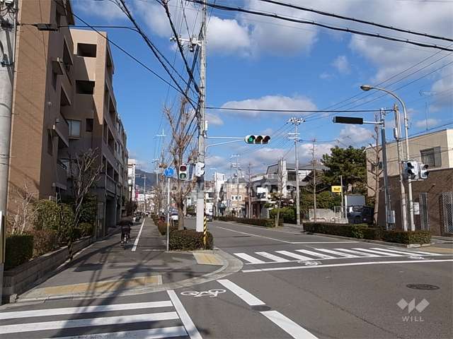 敷地東側の前面道路は街路樹がきれいな二車線のバス通りです。