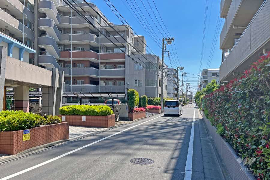 敷地の西側前面道路（北側から）