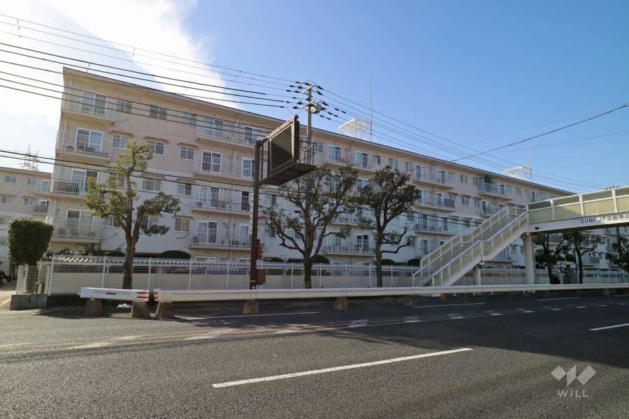 メゾン宝塚1号棟の外観（北東側から）