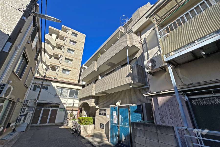 エレガンス練馬の外観（南西側から）
