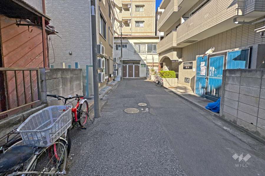 敷地の西側前面道路（南側から）