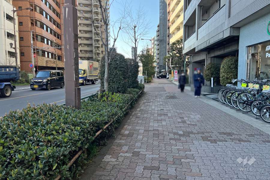 敷地南側の前面道路