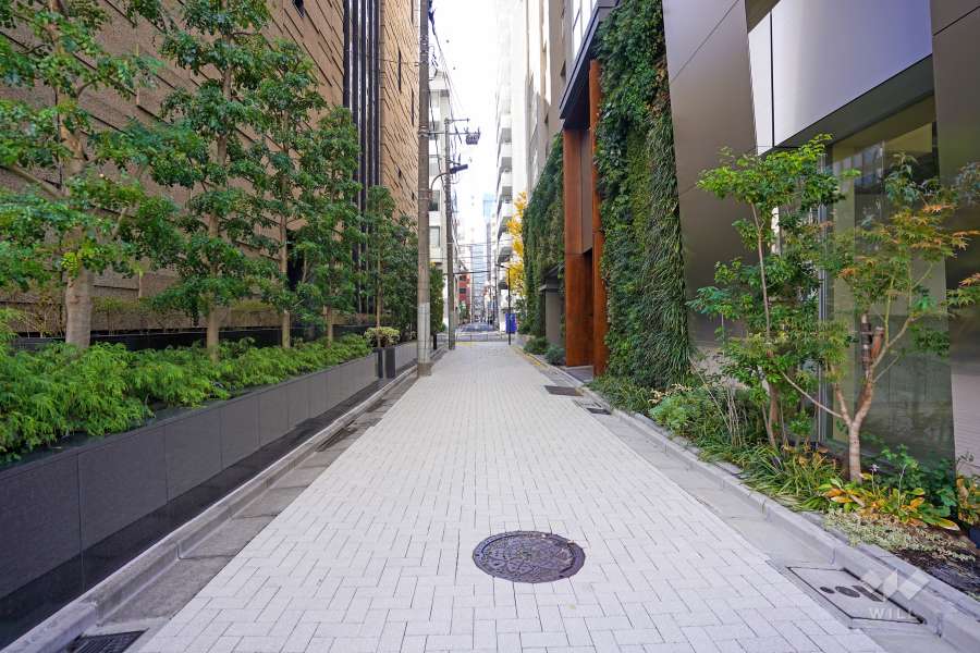 敷地東側の前面道路（北側から）