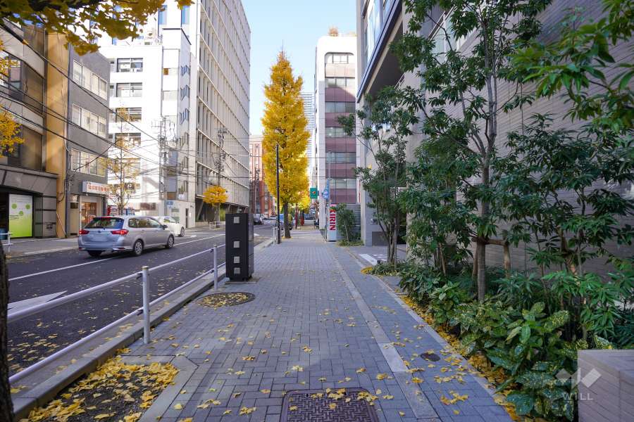 敷地南側の前面道路（東側から）