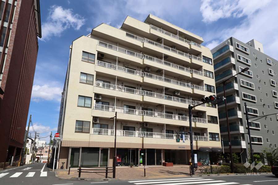 松濤ハウスの外観(西側から)