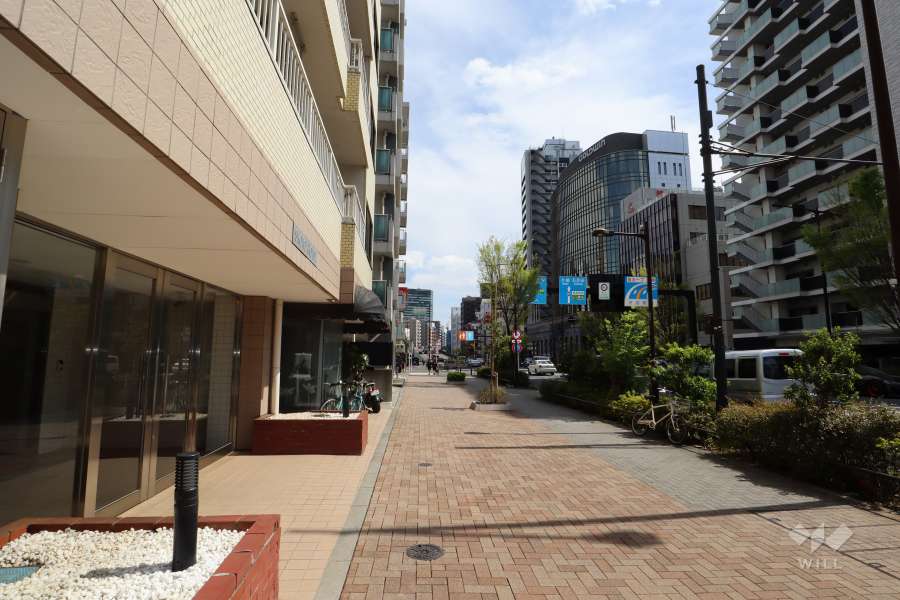 敷地南西側の前面道路(北西側から)　山手通りです。