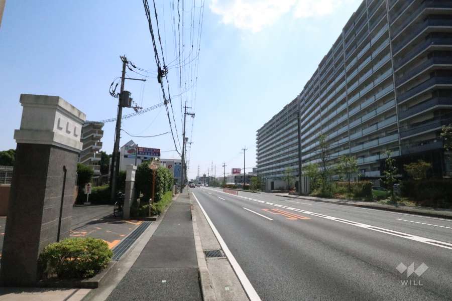 敷地北西側の前面道路。国道171号線です。