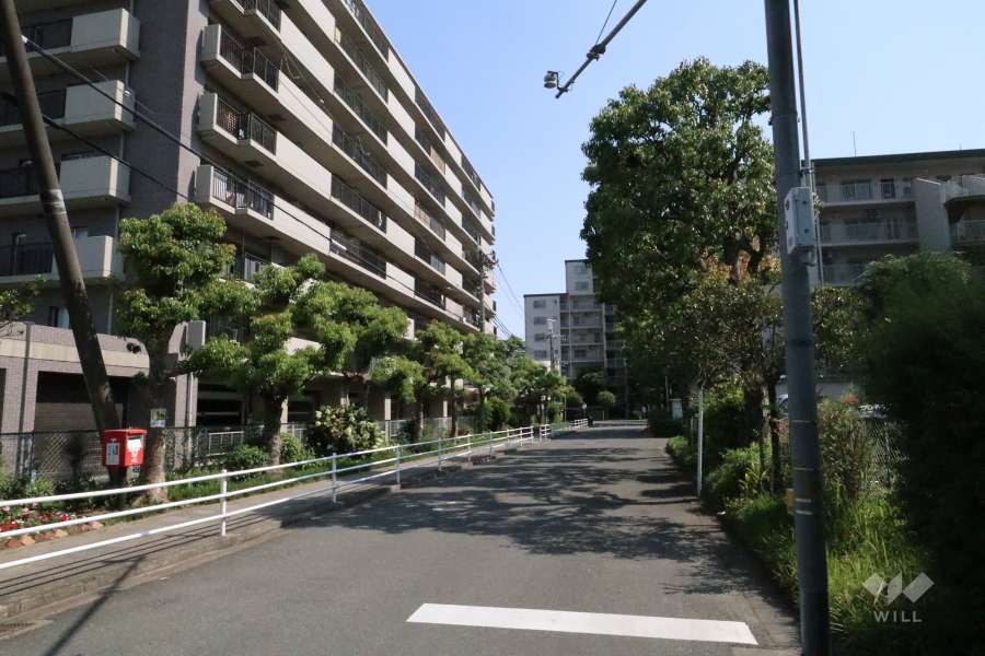 敷地西側の前面道路