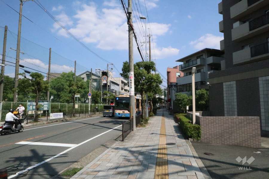 敷地北側の前面道路。駅から続くバス通りです。