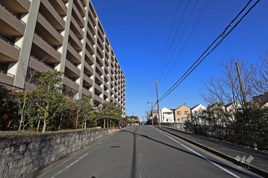 敷地南東側の前面道路（南西側から）