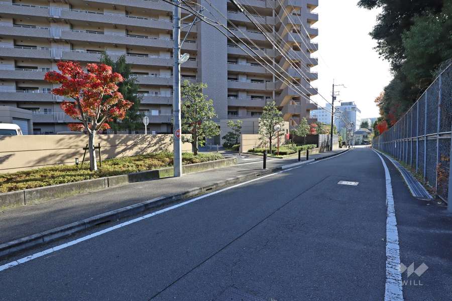敷地西側の前面道路（北側から）