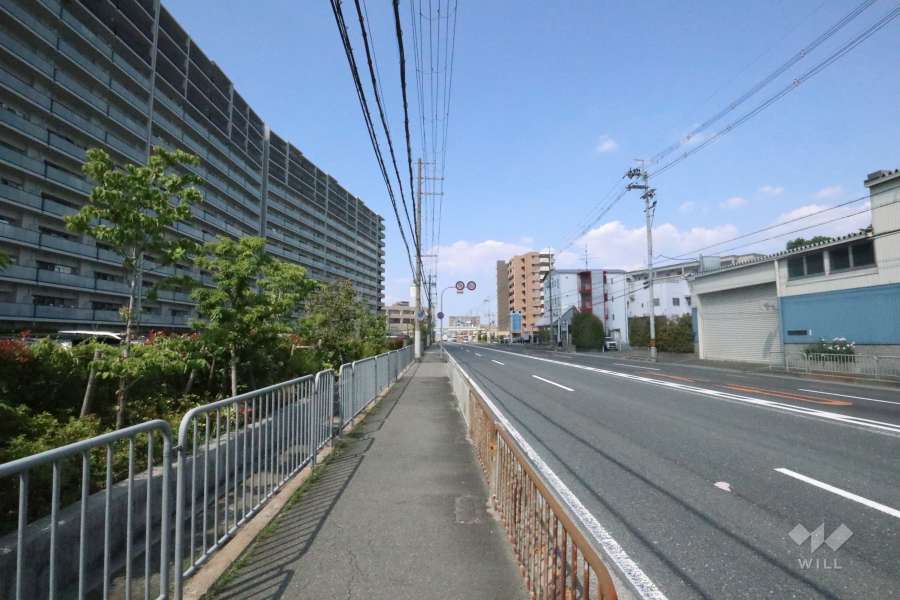 敷地南東側の前面道路。国道171号線です。
