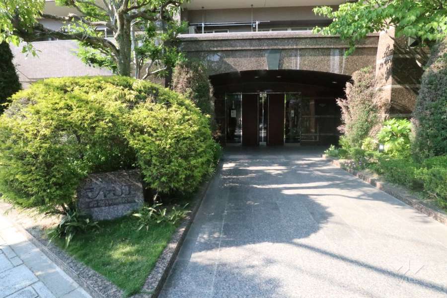 エントランスアプローチ