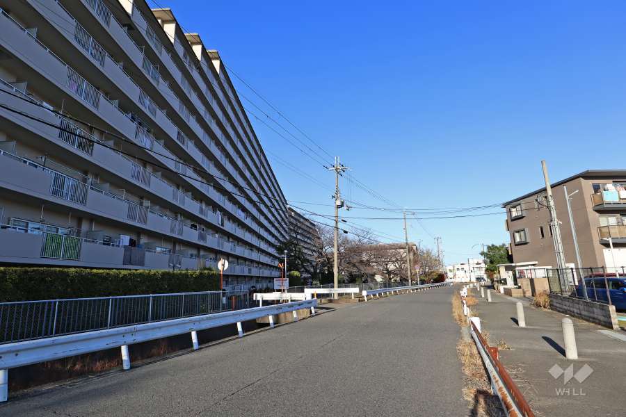 敷地東側の前面道路（南側から）