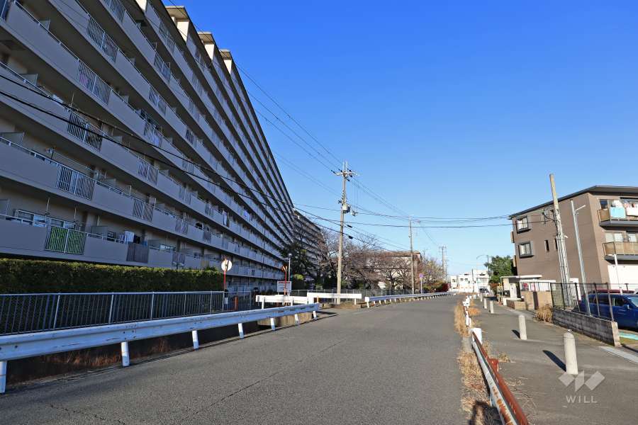 敷地東側の前面道路（南側から）
