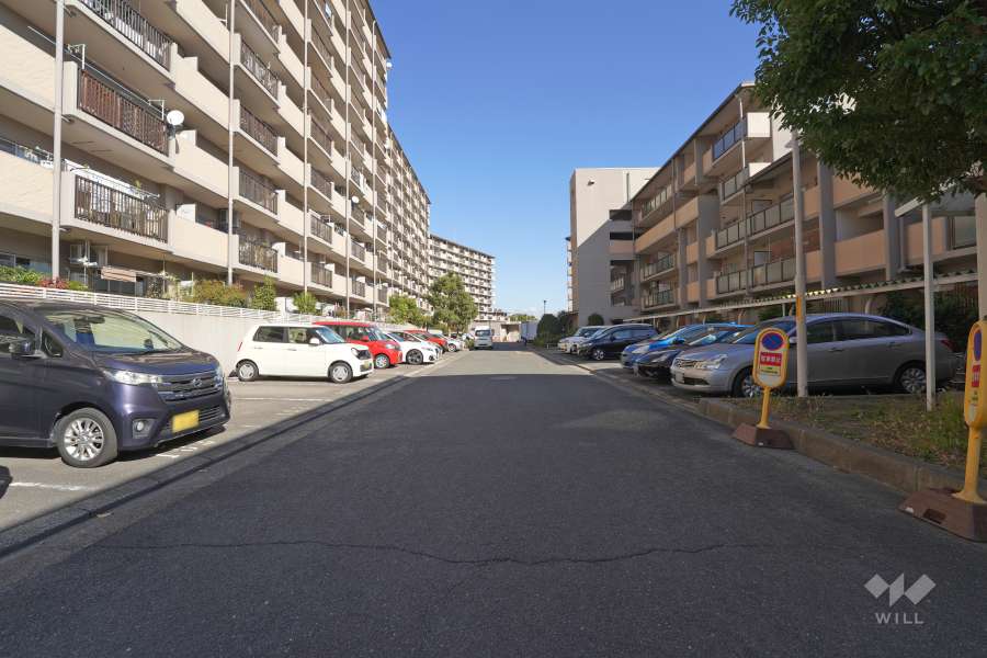 敷地南東側の前面道路（南西側から）